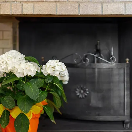 Дом отдыха Casa Rosa *